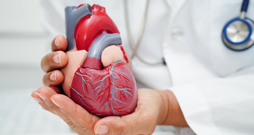 Cardiology