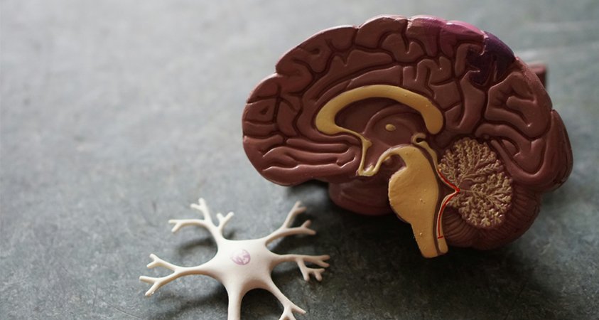 Neurosurgery