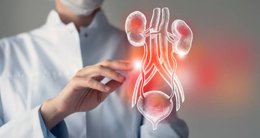 Urology